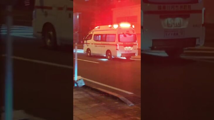 薩摩川内市消防局　中央消防署南部分署　南部救急２０１ #救急車