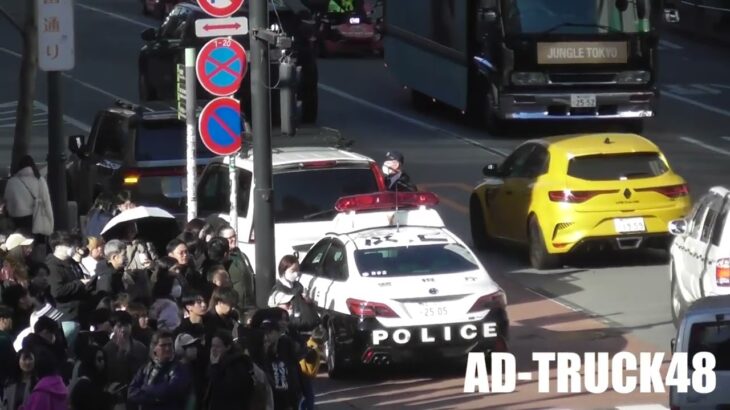 ティラノサウルスが歓喜の走り！スクランブル交差点を右折し緊急走行のパトカーに検挙されるチャレンジャー…残念でした