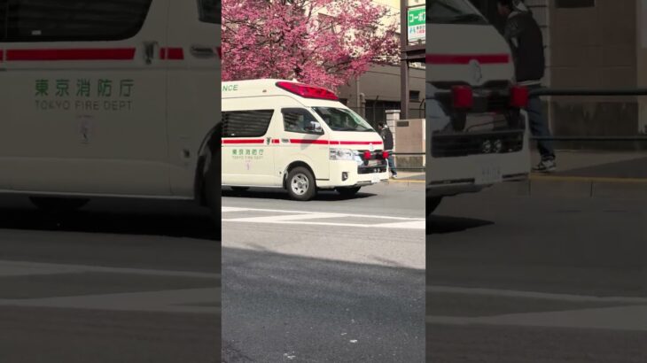 (緊急走行)東京消防庁救急車緊急走行！
