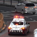 イエローカットを監視する警察官の目の前に見過ごせないプロボックスが現れた瞬間＆後続車に譲ってもらってまで黄色実線を跨いだウィッシュがパトカーに検挙された瞬間！