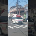 【緊急走行】今給黎総合病院新生児搬送ドクターカー