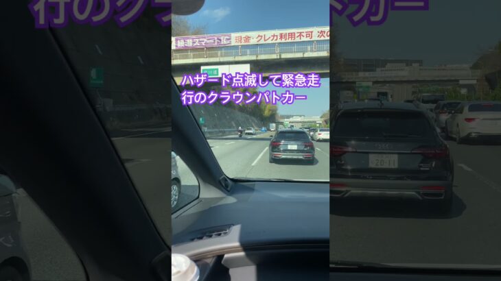 ハザード点滅して緊急走行のクラウンパトカー🚔　チャンネル登録お願いいたします😸　#緊急　#警察