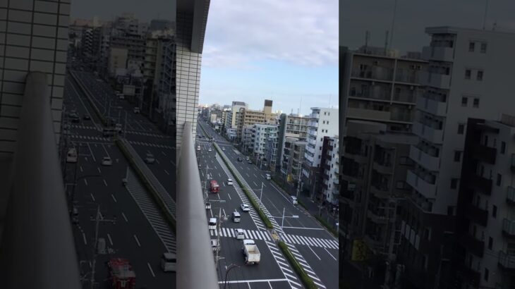 消防車と救急車が緊急走行🚨🦺🚒