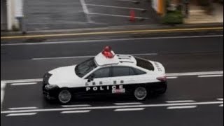 パトカー　緊急走行