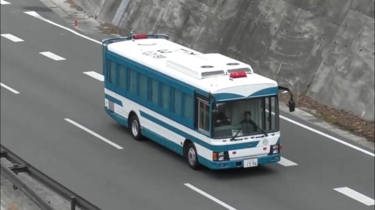 🚨人員輸送車🚨大阪府警🚨走行動画🚨赤色灯🚨　#人員輸送車 #大阪府警