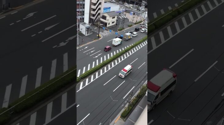 東京消防庁葛西消防署#トヨタハイメディック救急車🚑緊急走行🚨🦺