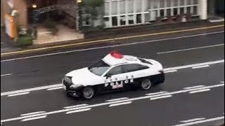 パトカー　緊急走行