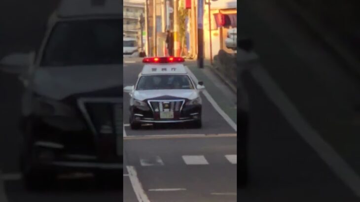 警視庁パトカー 緊急走行