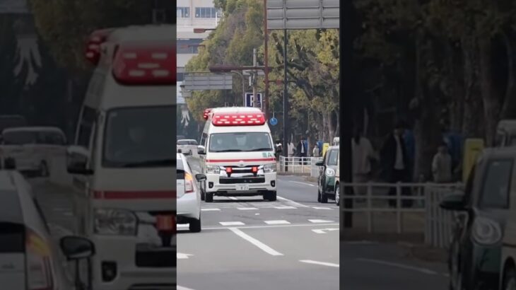 【姫路市消防局】直轄救急緊急走行！
