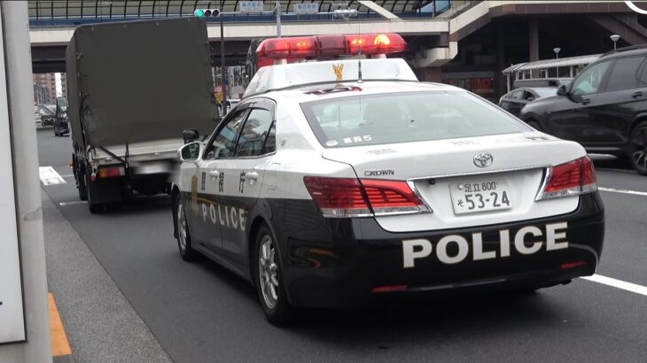 【信号変わってないですよ！】親切な白バイ隊員さんがマイクで何度も警告してくれてるのに気付かない違反者が信号無視した瞬間、パトカーと白バイがほぼ同時に緊急走行で追跡した取締りの瞬間