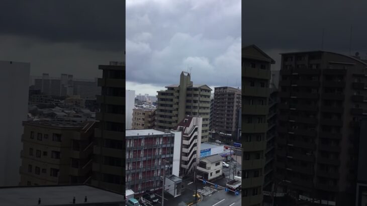 消防司令車緊急走行🚨🦺🚒