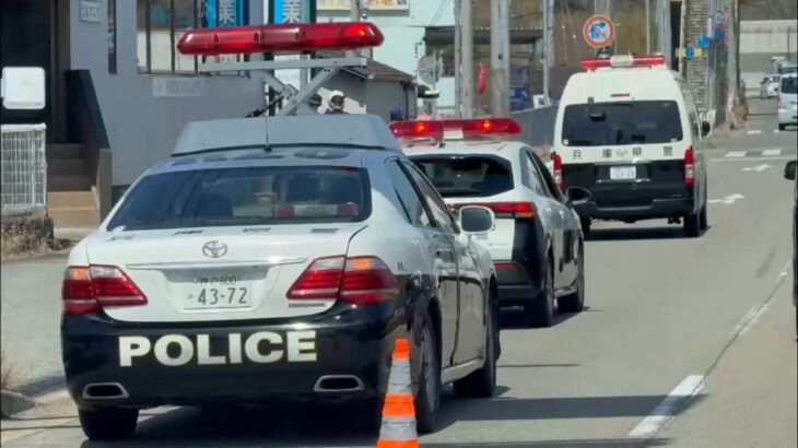 🚨パトカーが集結🚨交通事故対応🚨兵庫県警🚨 #パトカー #兵庫県警