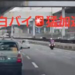 白バイの猛加速😳😳😳🚨白バイ速度取締り🚨 #白バイ #速度取締り #兵庫県警