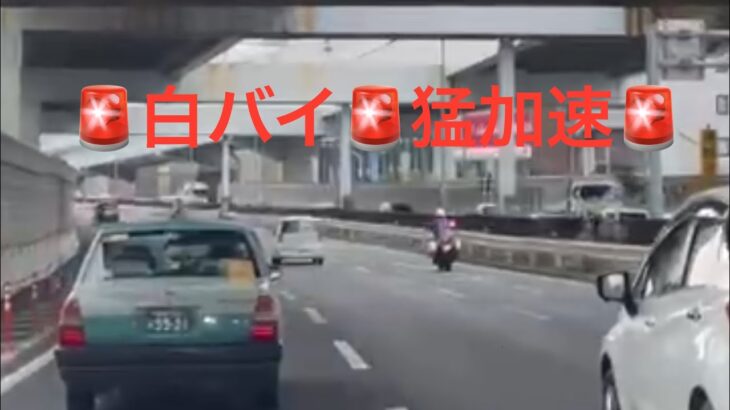 白バイの猛加速😳😳😳🚨白バイ速度取締り🚨 #白バイ #速度取締り #兵庫県警