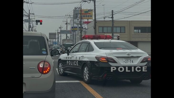 緊急走行！緊走する栃木県警のパトカー