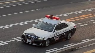 パトカー　緊急走行