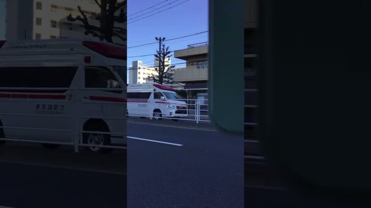 #東京消防庁葛西消防署トヨタハイメディック救急車緊急走行🚨🦺🚑