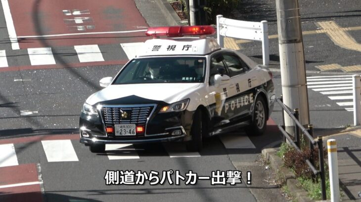 【カオスな交差点】自転車もスクーターもバイクも車も停止線ノーブレーキのヤバい違反者続出!!パトカーも違反車が多すぎて右に左に大忙しだった一時不停止の取締り!!