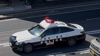 パトカー　緊急走行