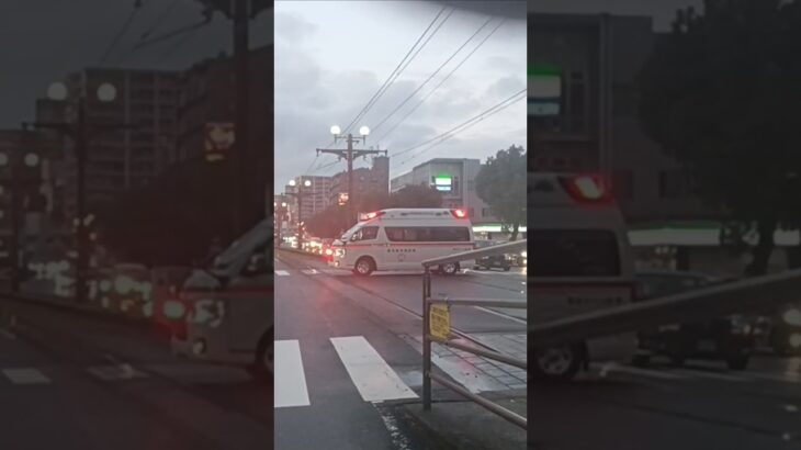 【緊急走行】鹿児島市消防局南林寺救急隊