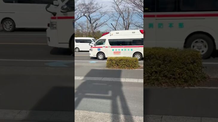 (市外搬送) 蓮田市消防本部　救急車　緊急走行シーン！