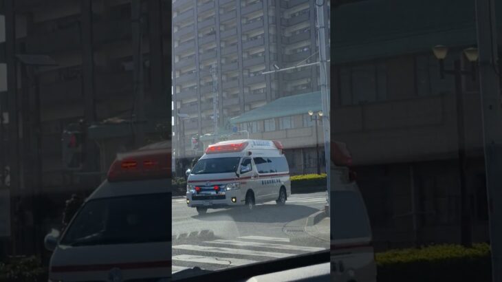 春日部消防　一般救急　緊急走行　#緊急車両#緊急走行#救急車#一般救急#春日部市消防本部