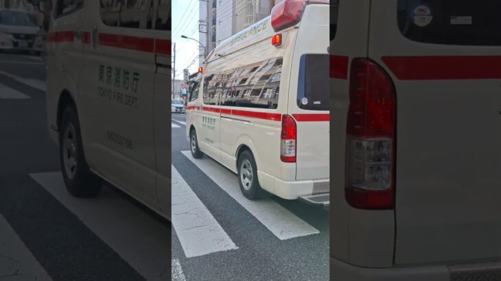 一般救急　緊急走行 　#東消#一般救急#救急車#緊急走行#緊急車両