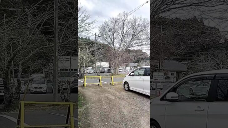 香取広域消防本部の救急車が香取神宮を緊急走行