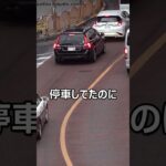 【待ってましたのサイレン音】イエローカットを待ち構えるパトカーの目の前に黄色実線を跨ぐハイエースが現れた瞬間!!