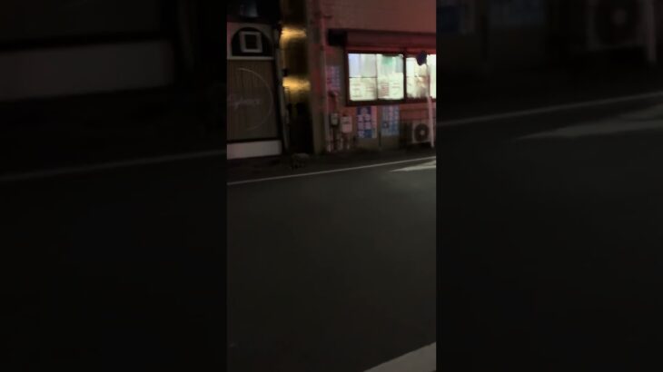 横浜鶴見 消防車緊急走行