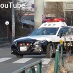 サイレン聞いてから止まっても遅い！！停止線ガン無視車両をパトカーが追走！•横断歩道に止まるプリカス&歩行妨車が白バイに捕まる！•初心者レンタカーイエローカット！•あわよくば逃走？一時停止取り締まり！等