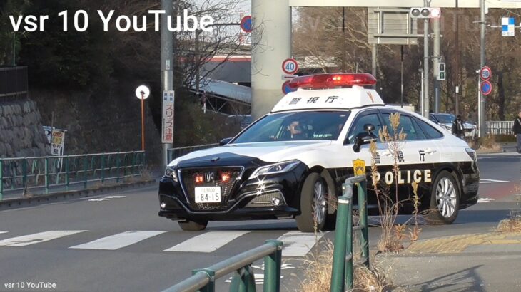 サイレン聞いてから止まっても遅い！！停止線ガン無視車両をパトカーが追走！•横断歩道に止まるプリカス&歩行妨車が白バイに捕まる！•初心者レンタカーイエローカット！•あわよくば逃走？一時停止取り締まり！等