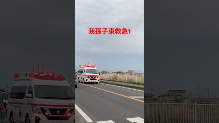我孫子東救急1緊急走行　我孫子市消防本部　#緊急車両 #緊急走行 #救急車 #消防署 #日産