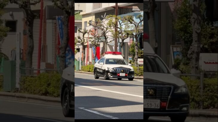 大阪府警 茨木1 パトカー 緊急走行