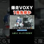 爆走ヴォクシーが白バイに捕まる‼️ 1発免停か⁉️ #shorts