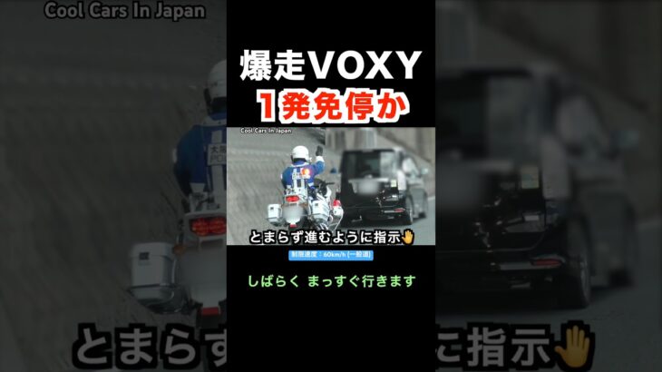 爆走ヴォクシーが白バイに捕まる‼️ 1発免停か⁉️ #shorts