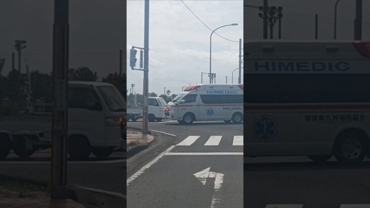 【緊急走行】ドクターカーとのランデブポイントに到着！指宿南九州消防組合指消救急2