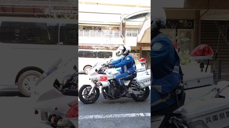 🚨白バイが2台で走行🚨 #白バイ #兵庫県警 #short #shorts #shortvideo
