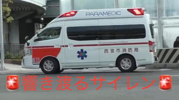 🚨響き渡るサイレン🚨4連発🚨救急車🚨緊急走行🚨 #救急車 #サイレン #緊急走行