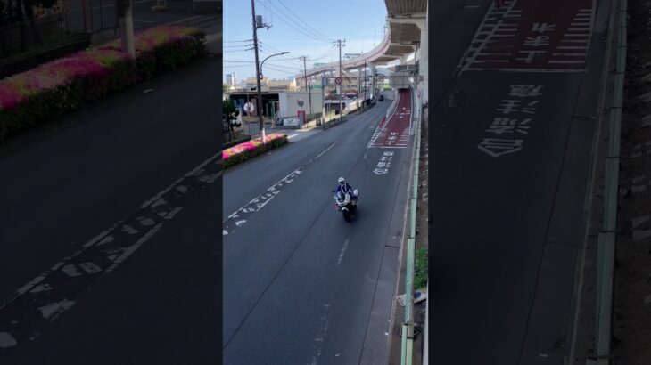 警視庁第4方面交通機動隊白バイ緊急走行(NT1100P)