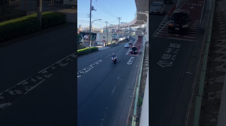 警視庁第4方面交通機動隊白バイ緊急走行(NT1100P)