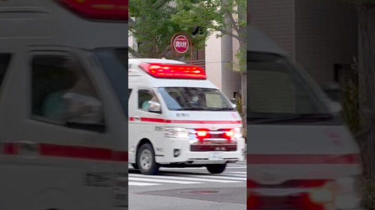 #福岡市消防局 #救急車 今日の夜7:00から公開！早良本署救急第2小隊 救急6(はるひ号)緊急走行