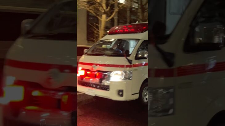 #救急車 #サイレン#救急車#走行#出動#踏切#サイレン音#緊急走行#緊急出動#ASMR#sirensound#Ambulance#police car#東京消防庁