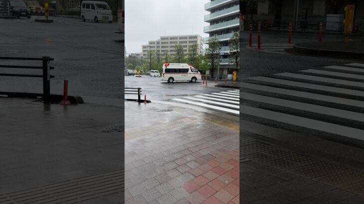 #救急車 #サイレン#救急車#走行#出動#踏切#サイレン音#緊急走行#緊急出動#ASMR#sirensound#Ambulance#police car#東京消防庁