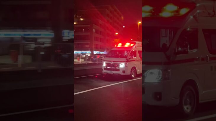 #救急車 #サイレン#救急車#走行#出動#踏切#サイレン音#緊急走行#緊急出動#ASMR#sirensound#Ambulance#police car#東京消防庁