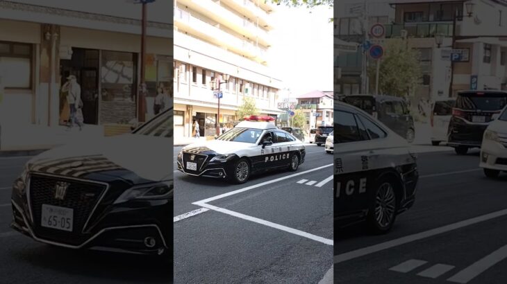 🚨パトカーとBMWのタクシー🚨 #パトカー #兵庫県警 #shorts #shortvideo