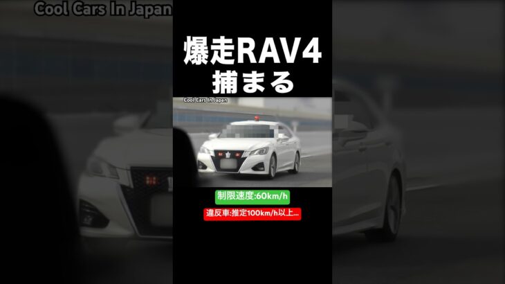 爆走RAV4が覆面パトカーに捕まる瞬間‼️ #shorts