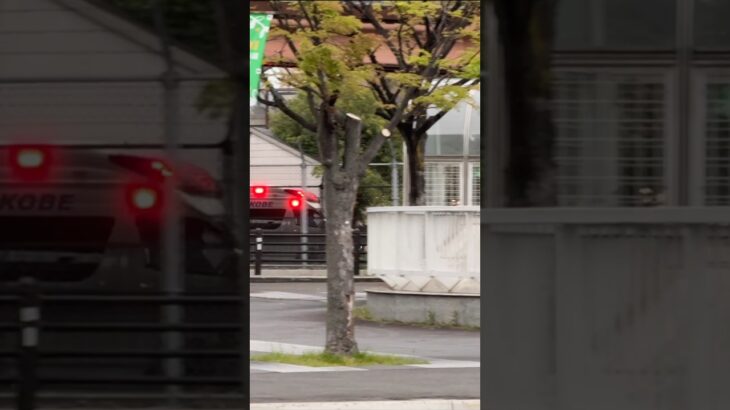 TCDサイレンを鳴らし神戸駅付近を緊急走行 神戸市消防局 ハイメディック救急車