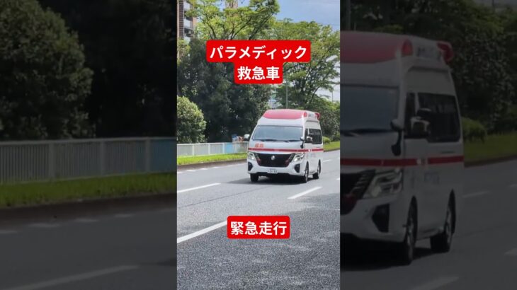 猛スピードで走るパラメディック救急車#救急車 #緊急走行 #ambulance