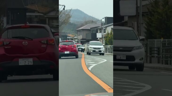 🚨パトカー🚨ミニパト🚨パトロール🚨兵庫県警🚨 #パトカー #ミニパト #short #shorts